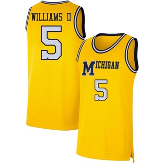 Terrance Williams II Replica Youth Michigan Wolverines Maize Retro Basketball Jersey