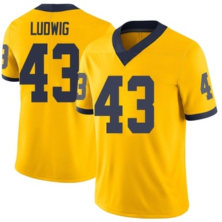 Zach Ludwig Limited Youth Michigan Wolverines Maize Football Jersey